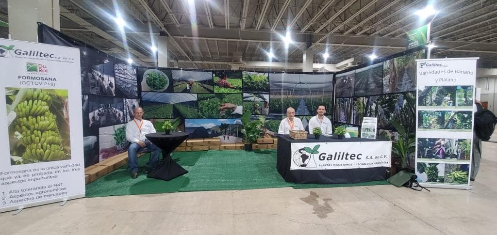 International Congress Acorbat 2022